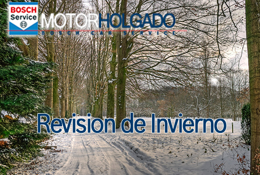 Revisión Invierno Bosch